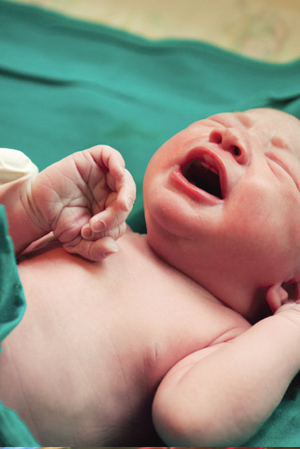 The Birth Center