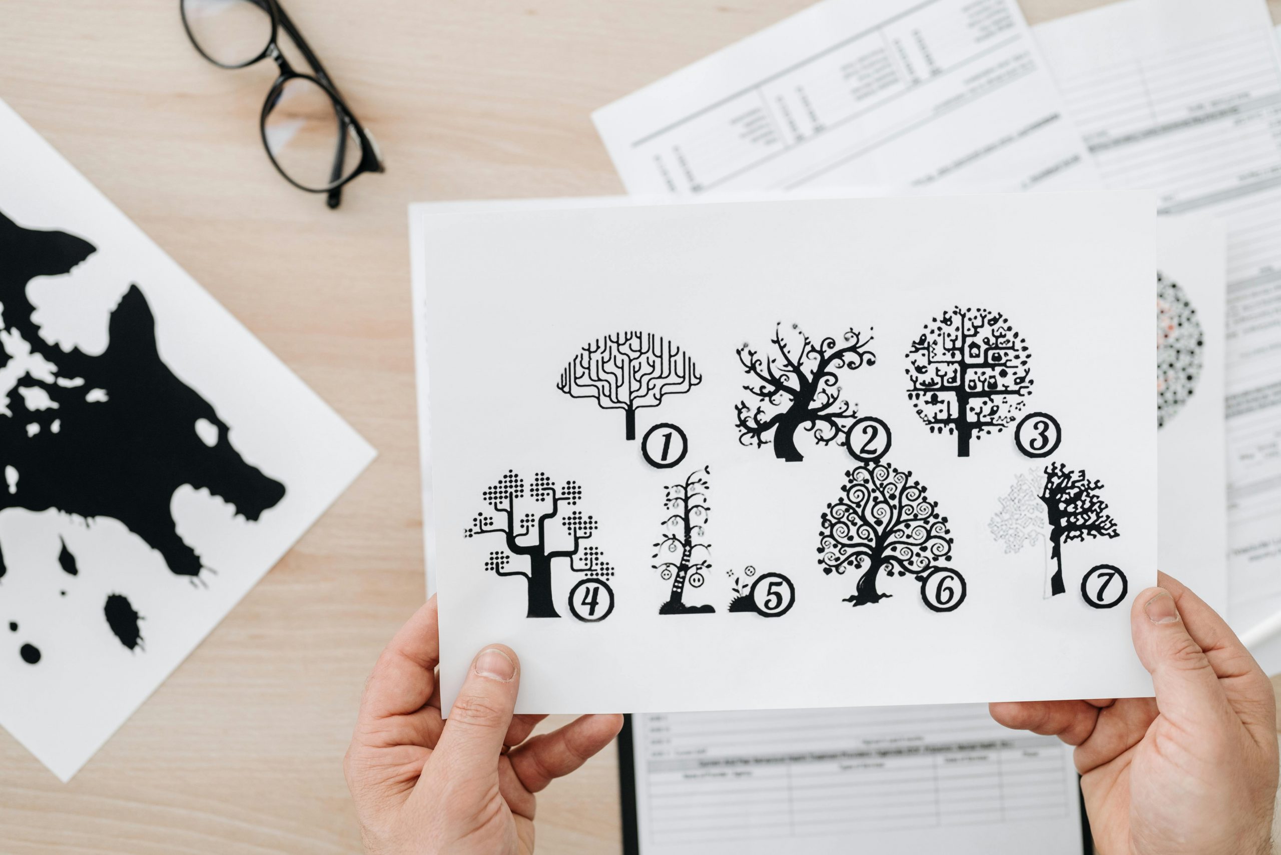 Hands hold an image of different graphic trees.