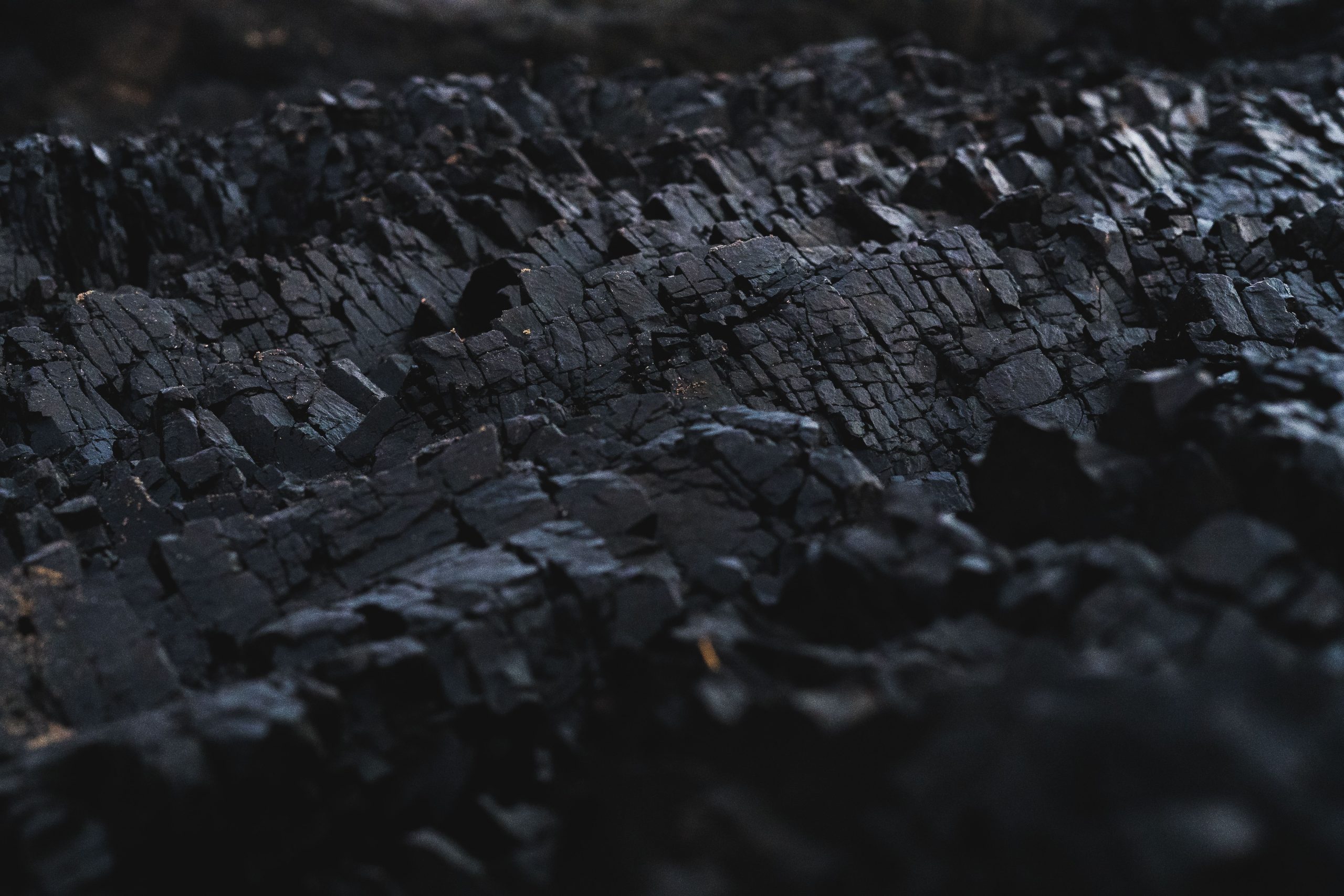 A close up photo of coal.
